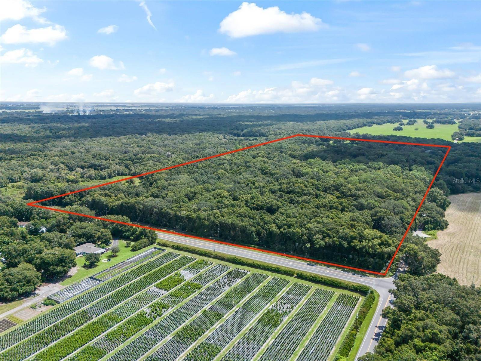 3448 CR 567, Center Hill, FL 33514