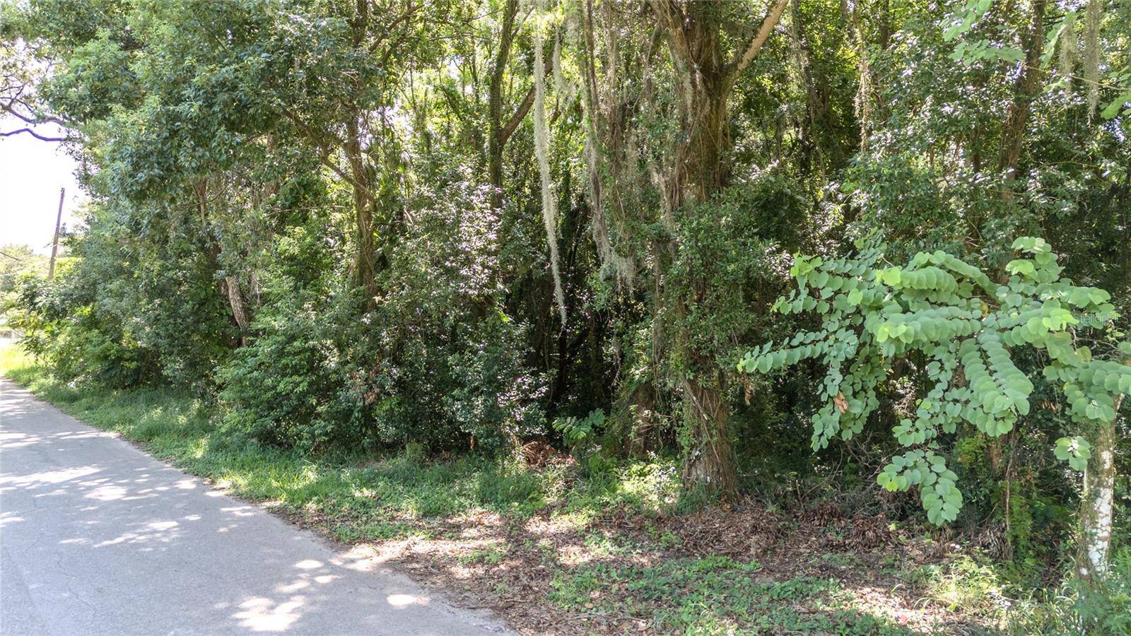 3RD ST, Leesburg, FL 34748