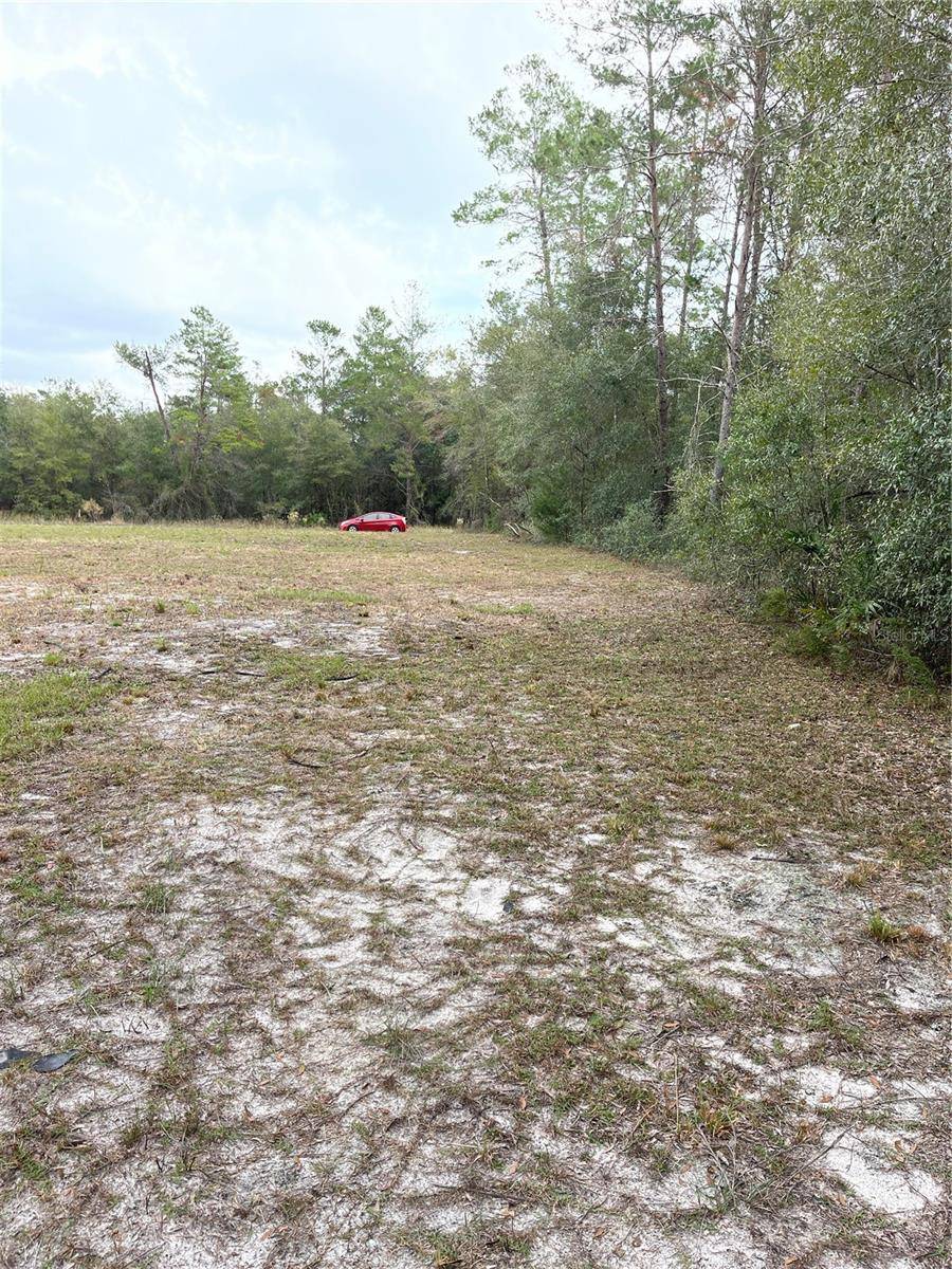 00 NE 108TH CT, Bronson, FL 32621