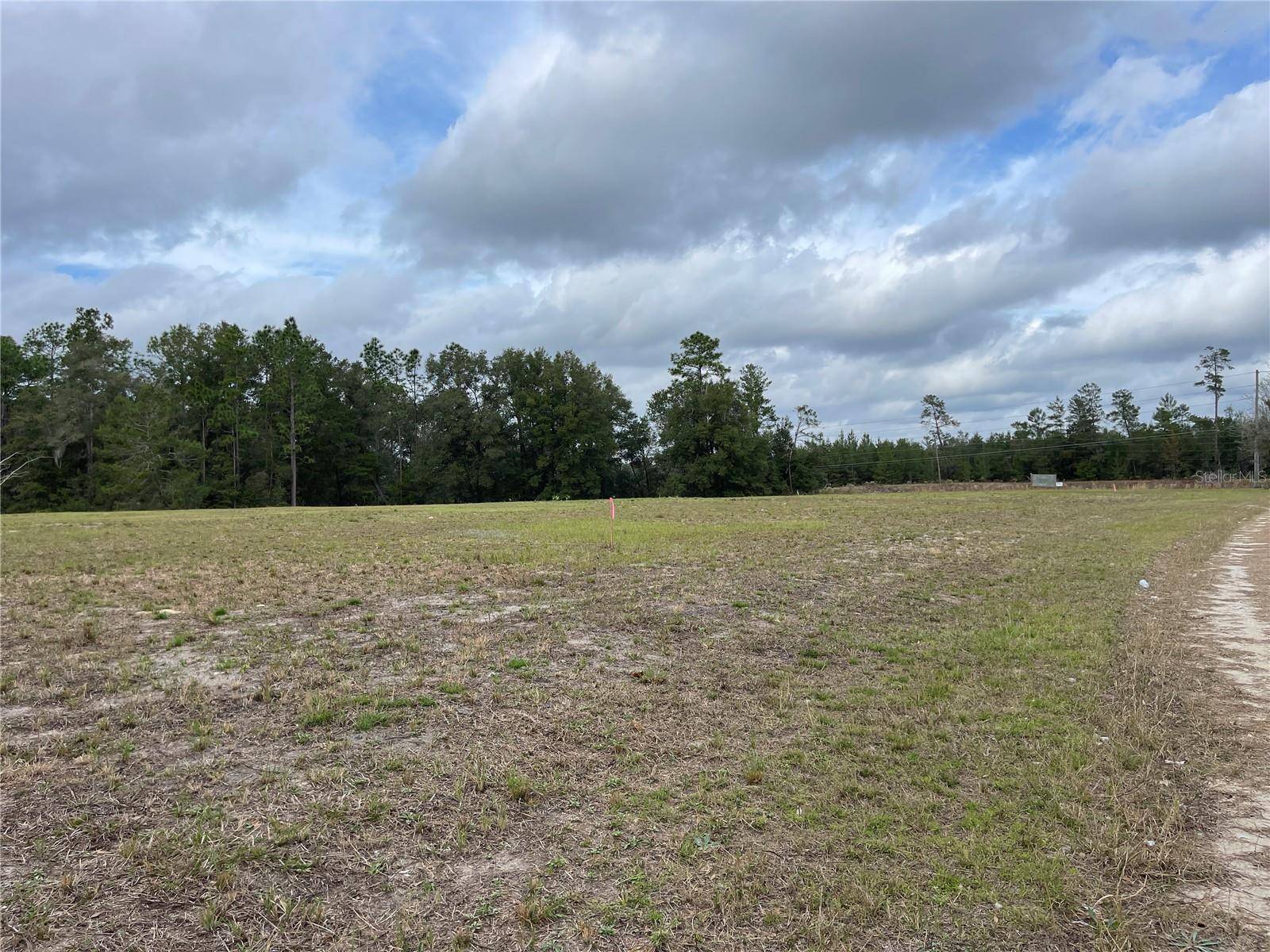 00 NE 108TH CT, Bronson, FL 32621