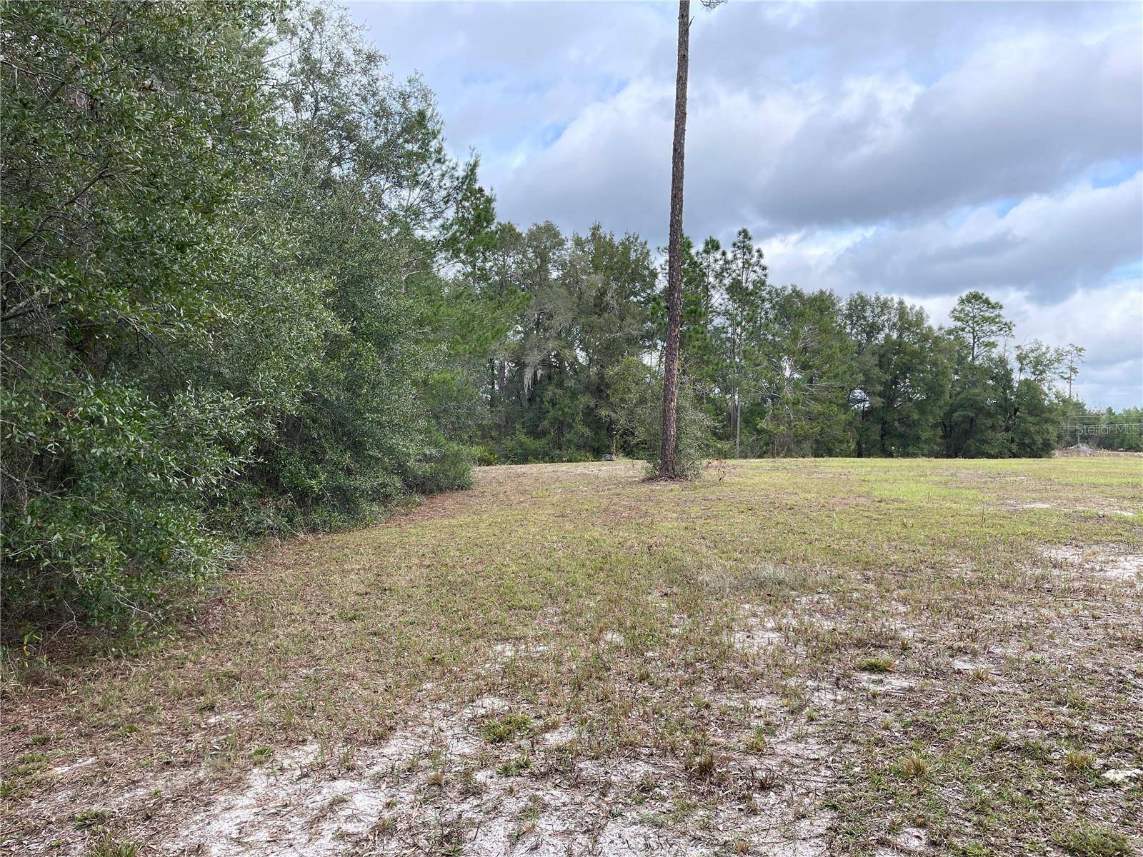 00 NE 108TH CT, Bronson, FL 32621