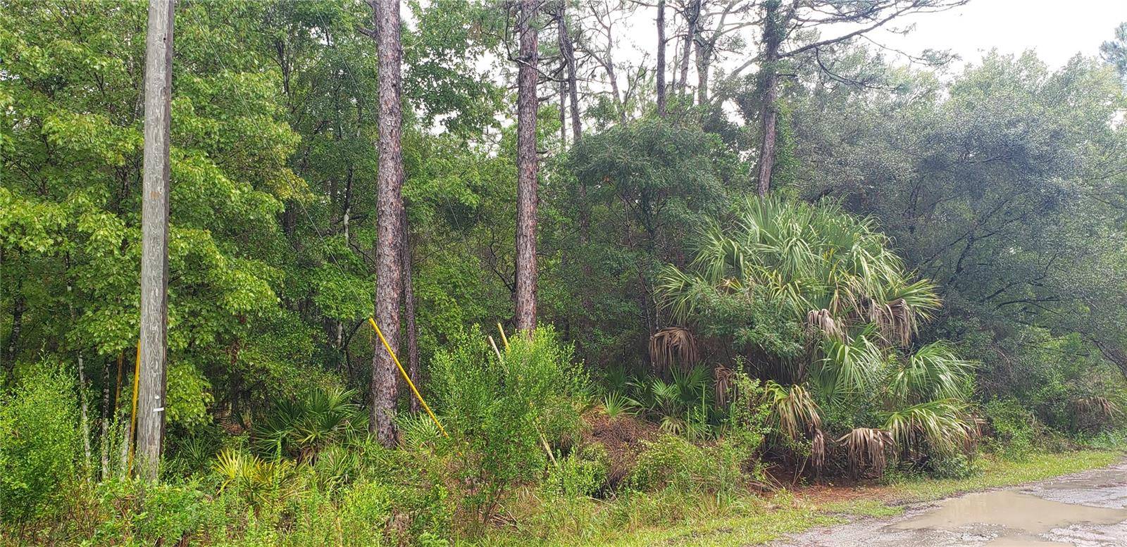 1179 N TESSA TER, Crystal River, FL 34429