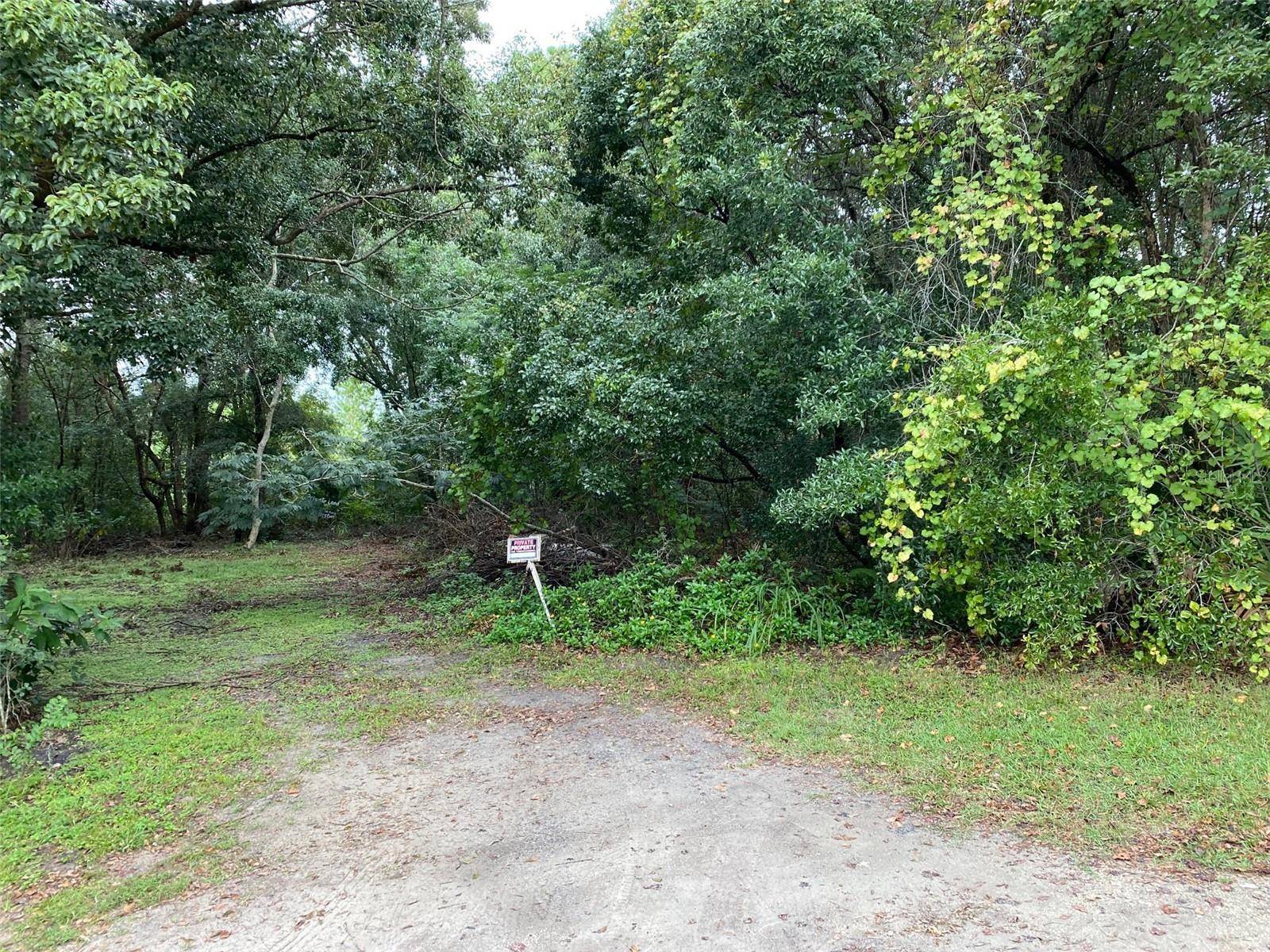 N WARDELL ST, Mount Dora, FL 32757