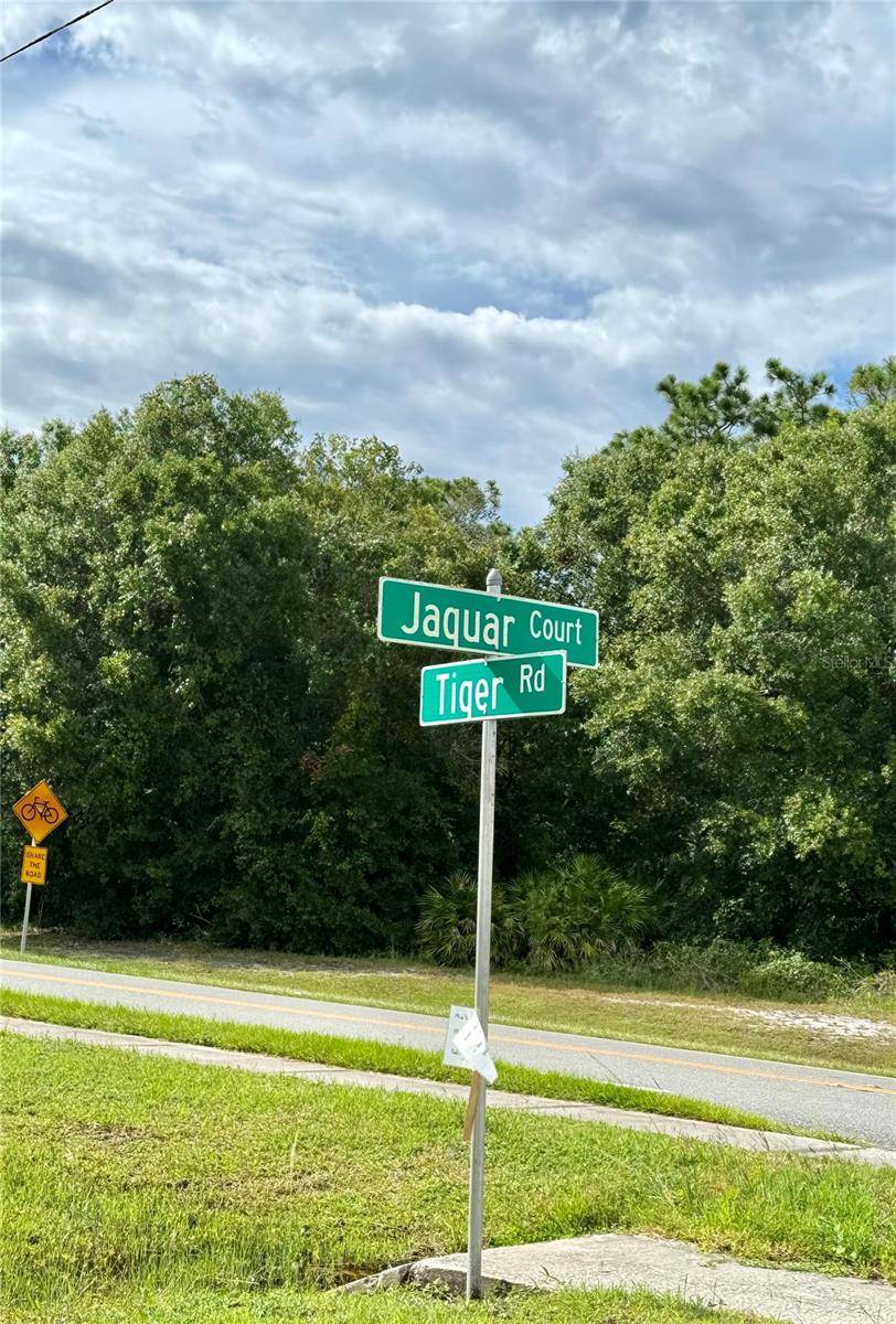 638 JAGUAR CT, Kissimmee, FL 34759