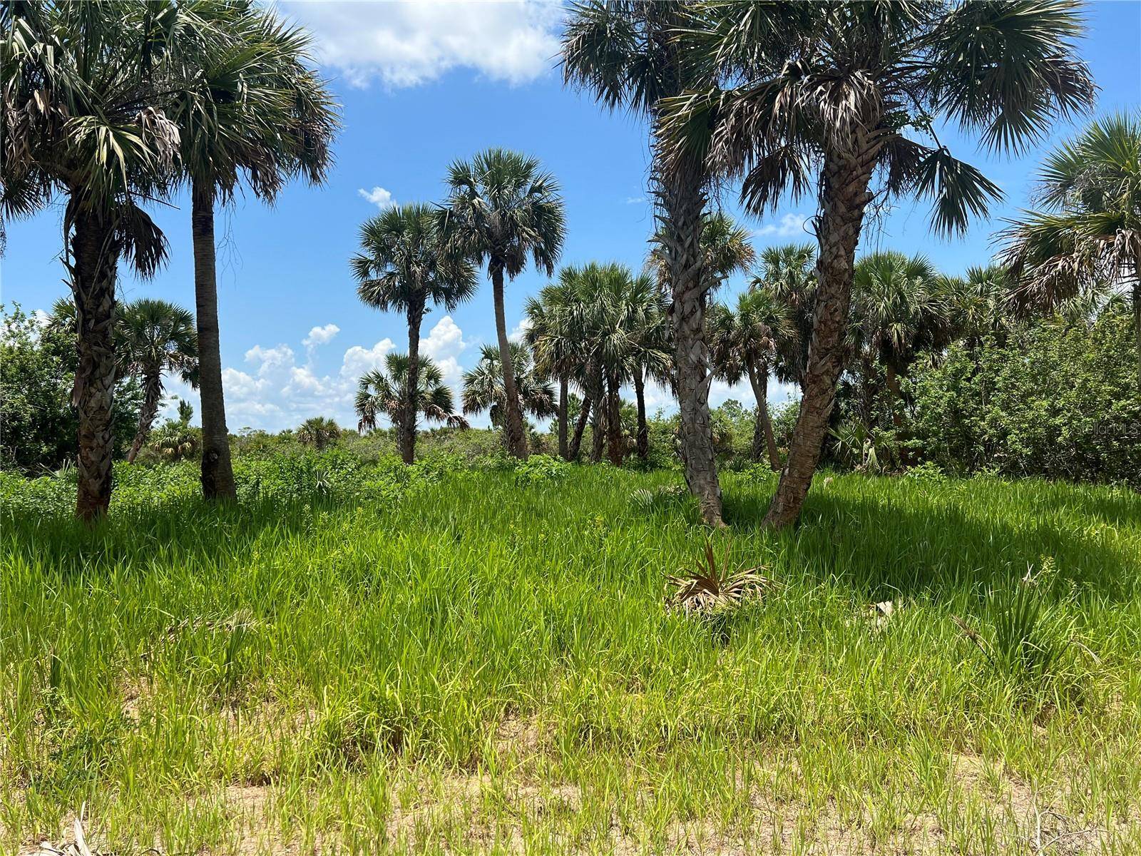 3026 SAGE AVE SW, Palm Bay, FL 32908