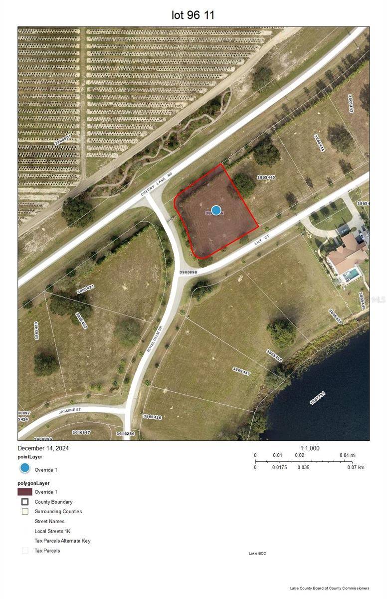 17200 ROYAL PALM DR, Groveland, FL 34736