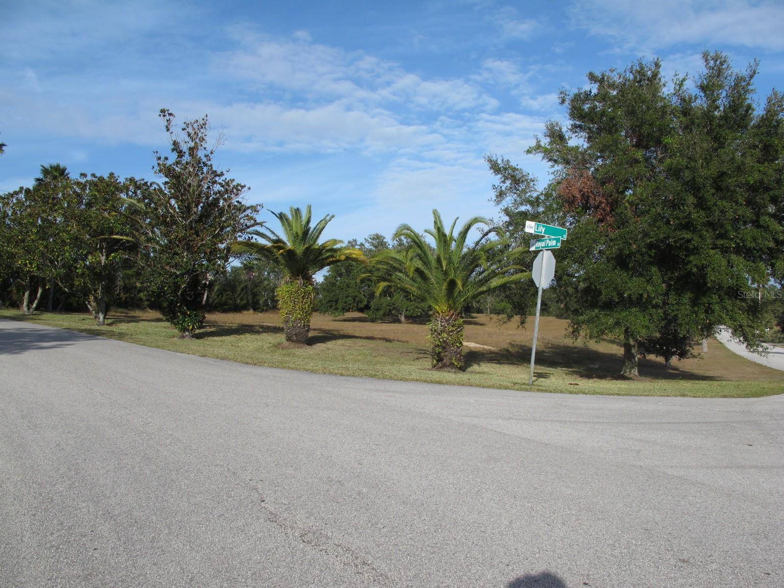 17200 ROYAL PALM DR, Groveland, FL 34736
