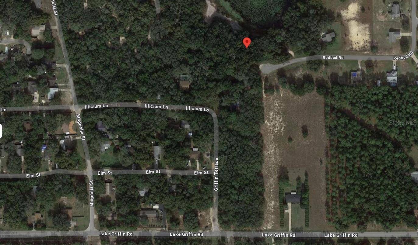 TBD REDBUD RD, Lady Lake, FL 32159