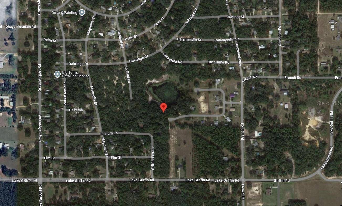 TBD REDBUD RD, Lady Lake, FL 32159