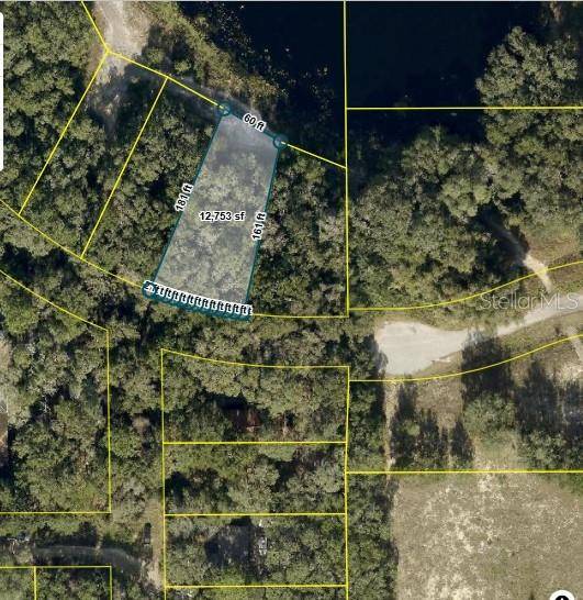 TBD REDBUD ROAD, Lady Lake, FL 32159