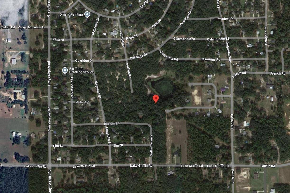 TBD REDBUD ROAD, Lady Lake, FL 32159