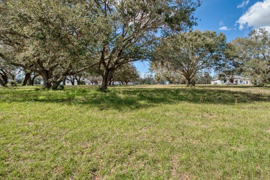 ROYAL PALM DR, Groveland, FL 34736