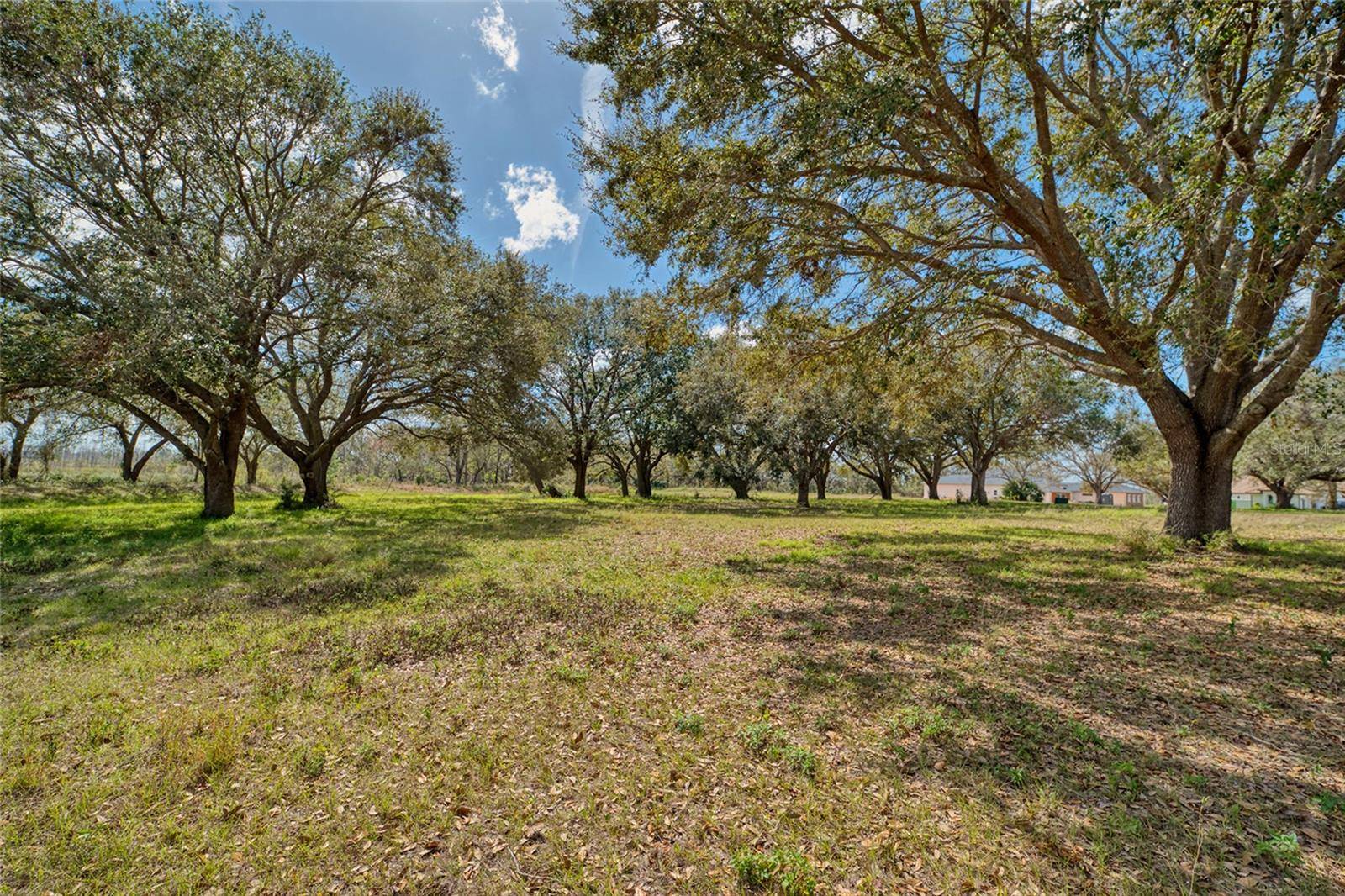 ROYAL PALM DR, Groveland, FL 34736