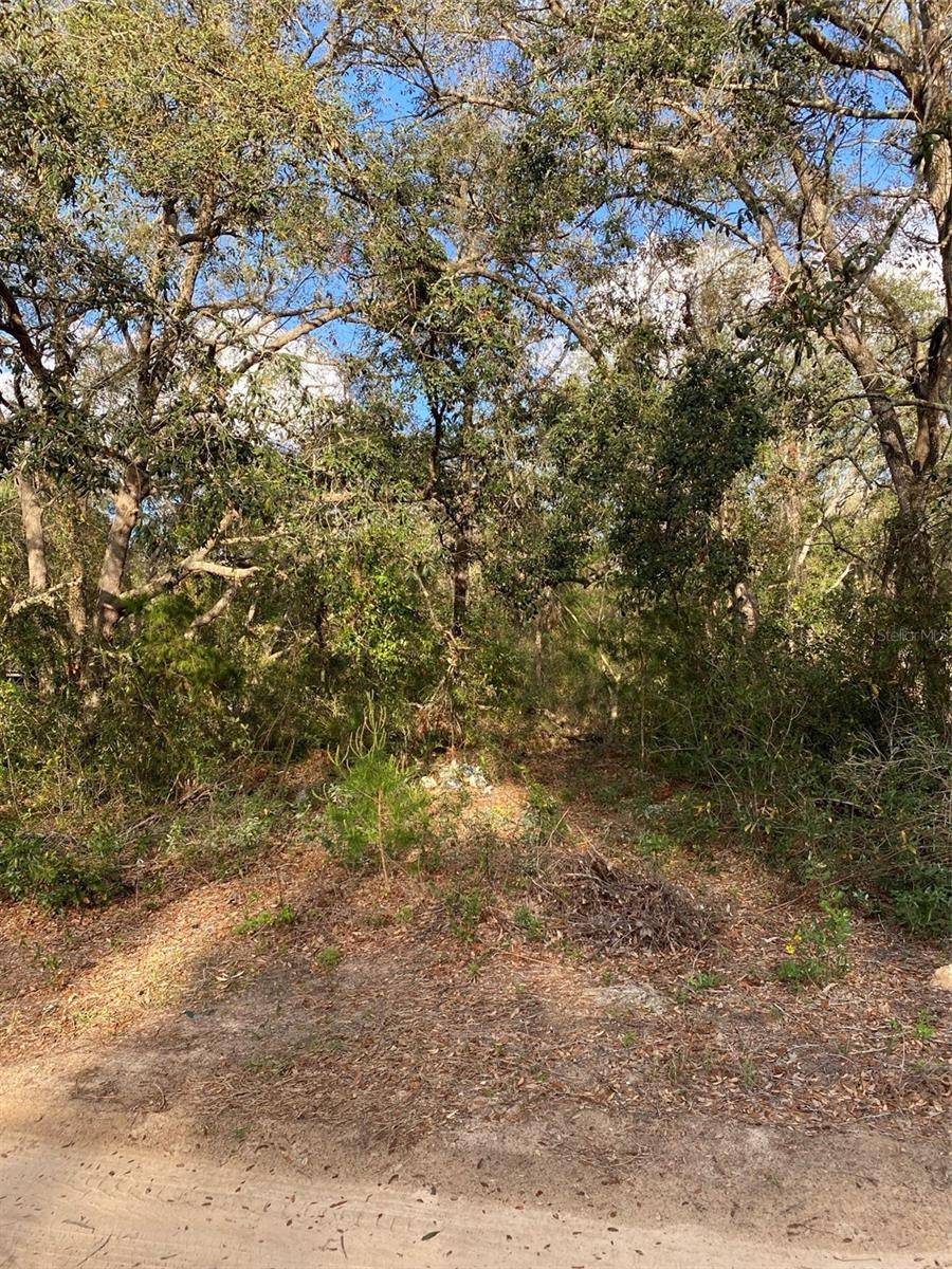DOGWOOD WAY, Lady Lake, FL 32159