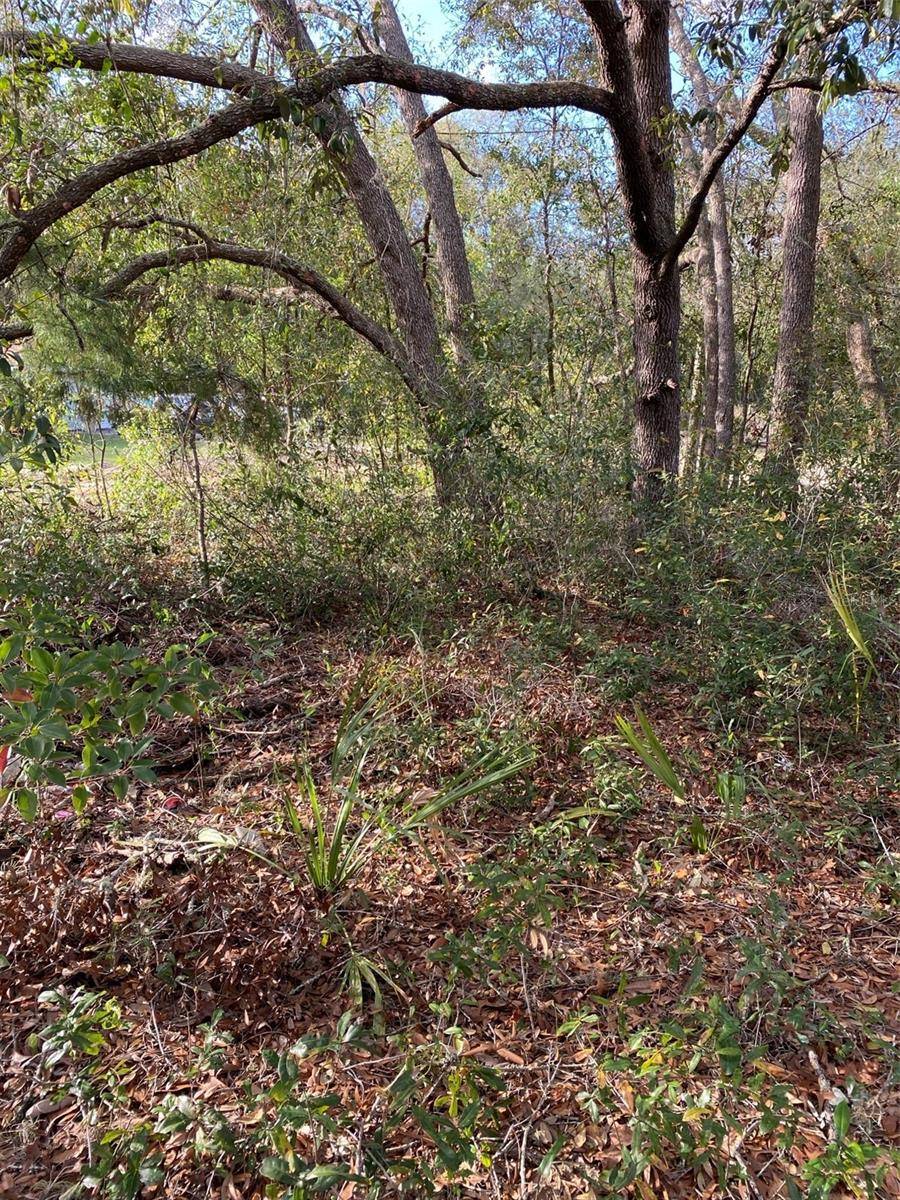 DOGWOOD WAY, Lady Lake, FL 32159