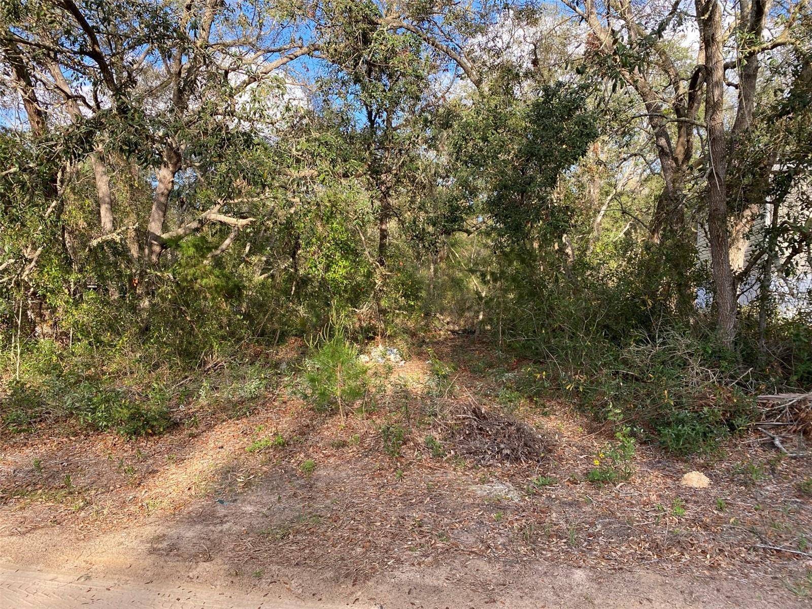 DOGWOOD WAY, Lady Lake, FL 32159