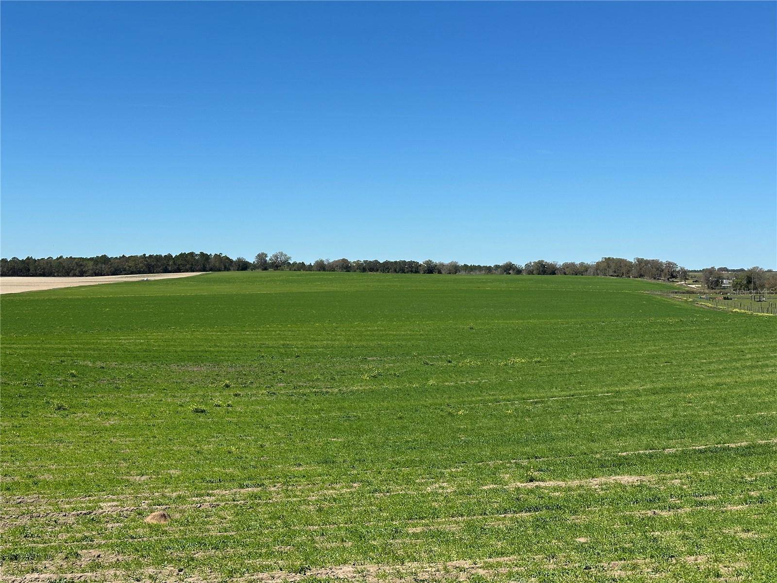 (190 AC-see addt'l PID's) NW 225TH AVE, Dunnellon, FL 34431
