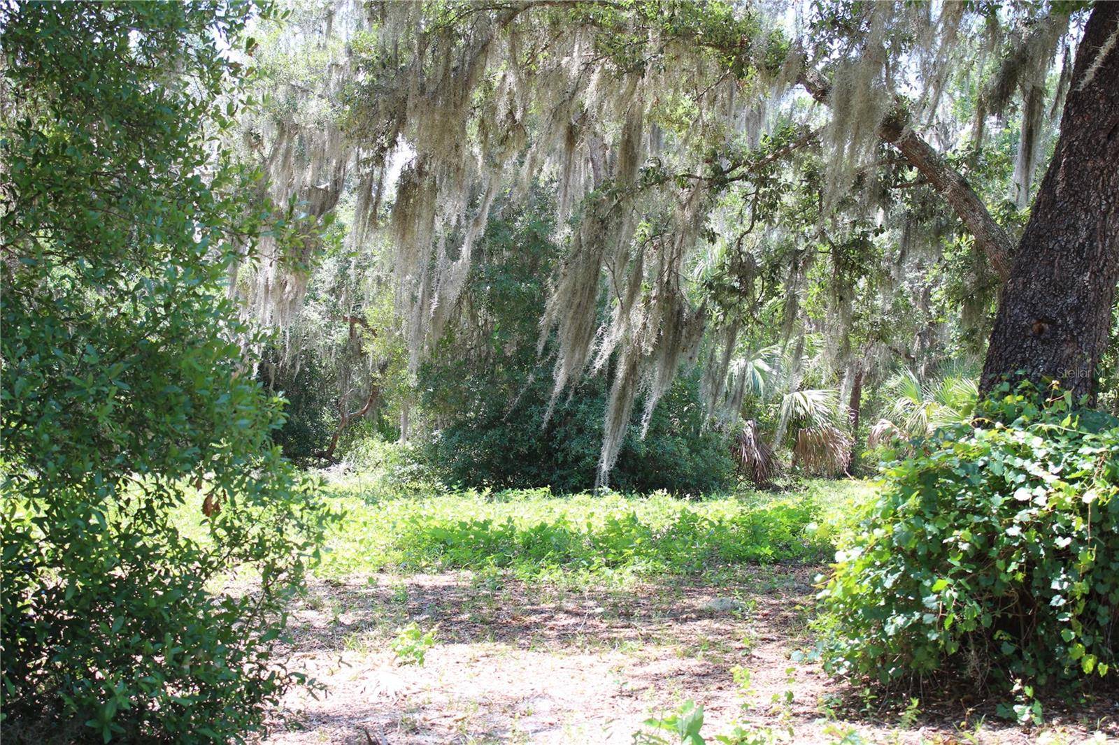 3117 BRIGHT LAKE CIR #lot 63, Groveland, FL 34736