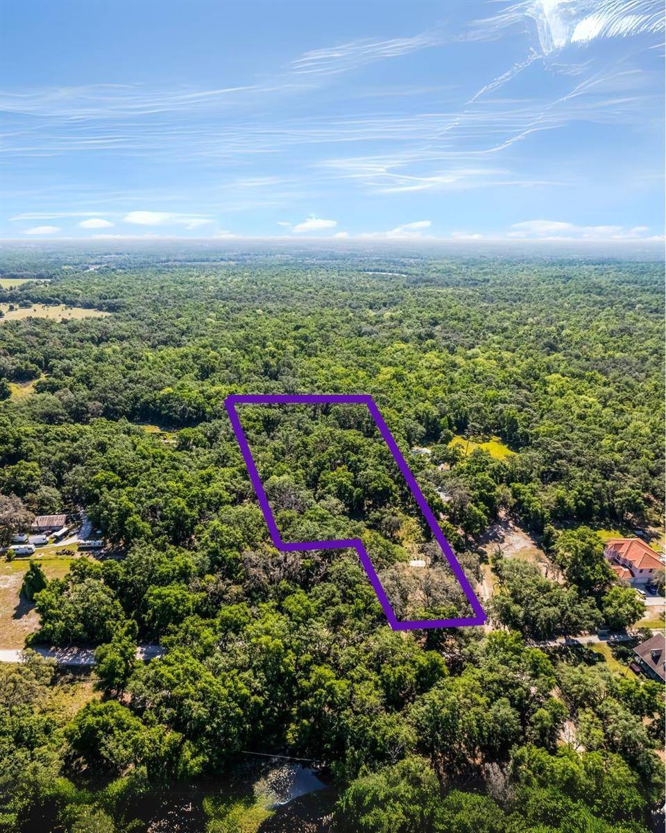 3633 PANTHER PATH RD, Lutz, FL 33559