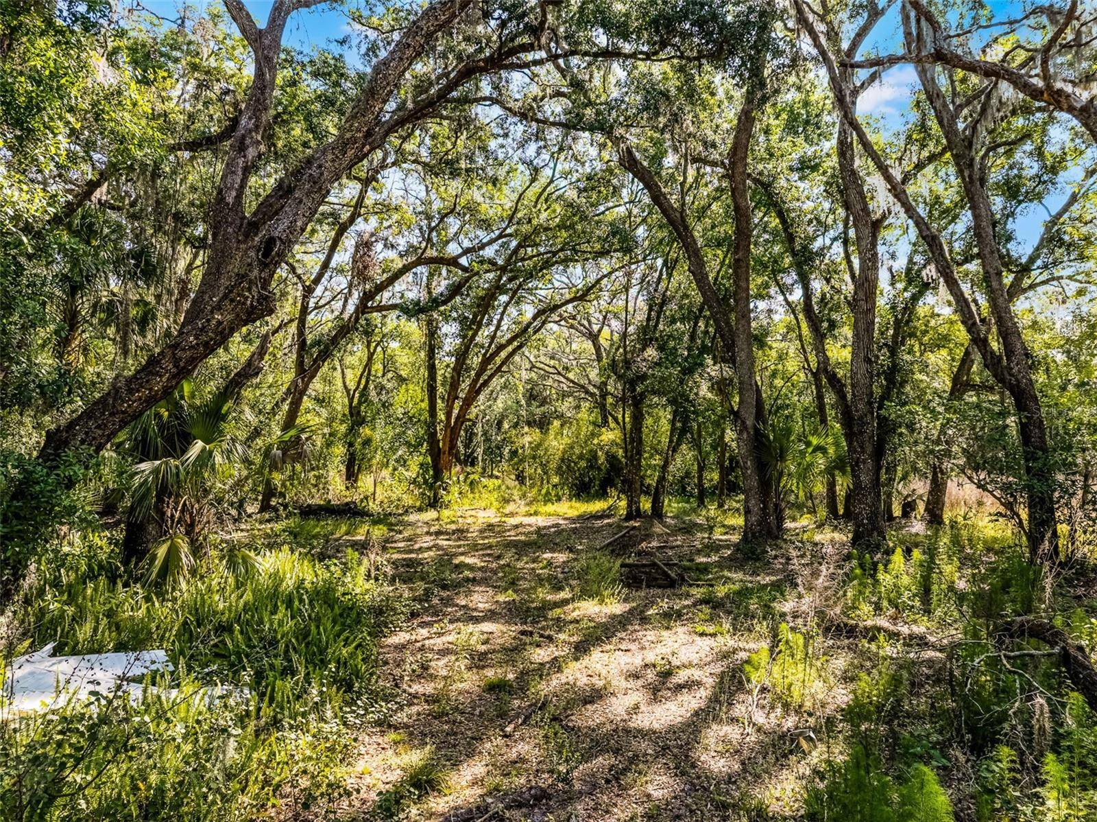 3633 PANTHER PATH RD, Lutz, FL 33559