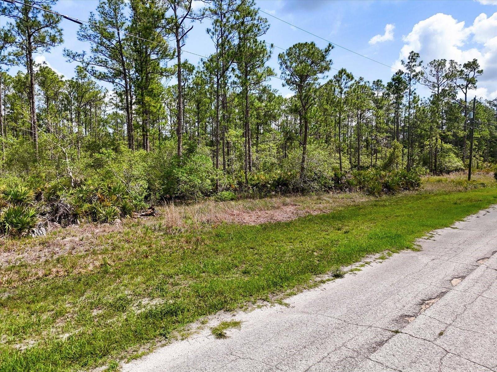 LOT 61 MEADOW LARK BLVD, Lake Wales, FL 33898