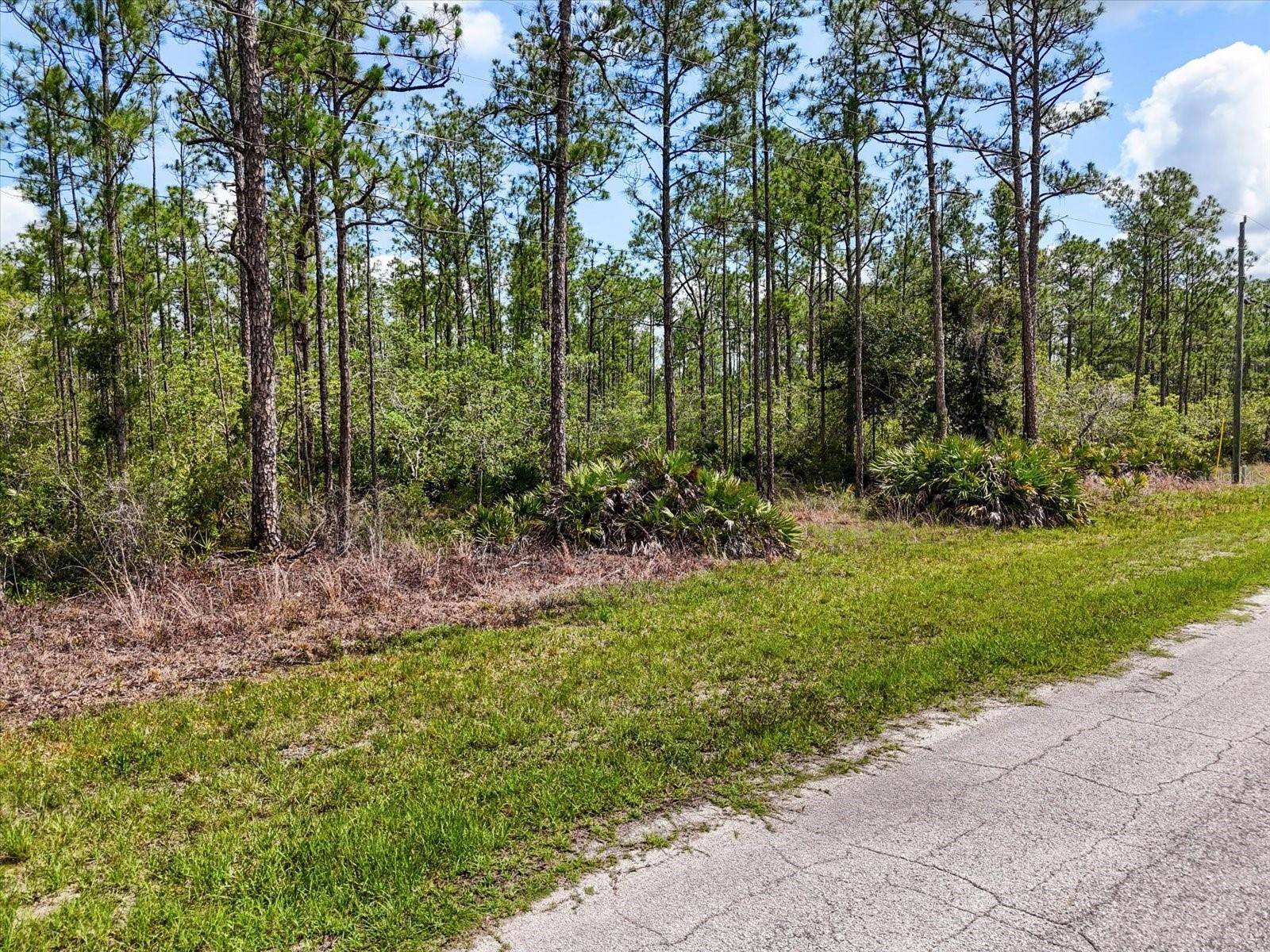 LOT 62 MEADOW LARK BLVD, Lake Wales, FL 33898