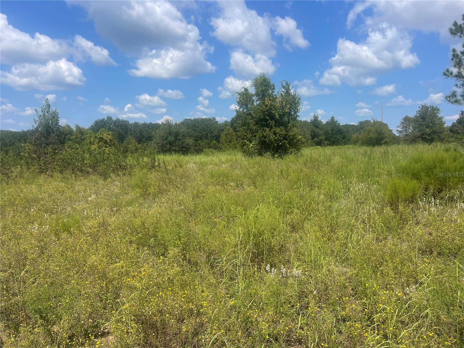 TBD KEENE RD, Umatilla, FL 32784