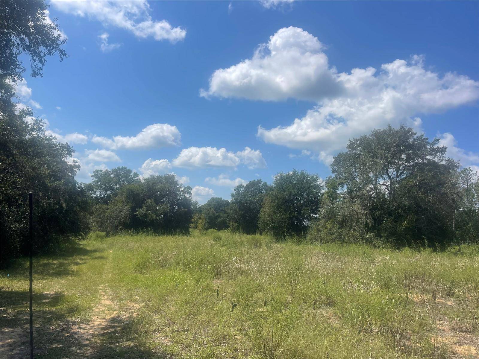 TBD KEENE RD, Umatilla, FL 32784