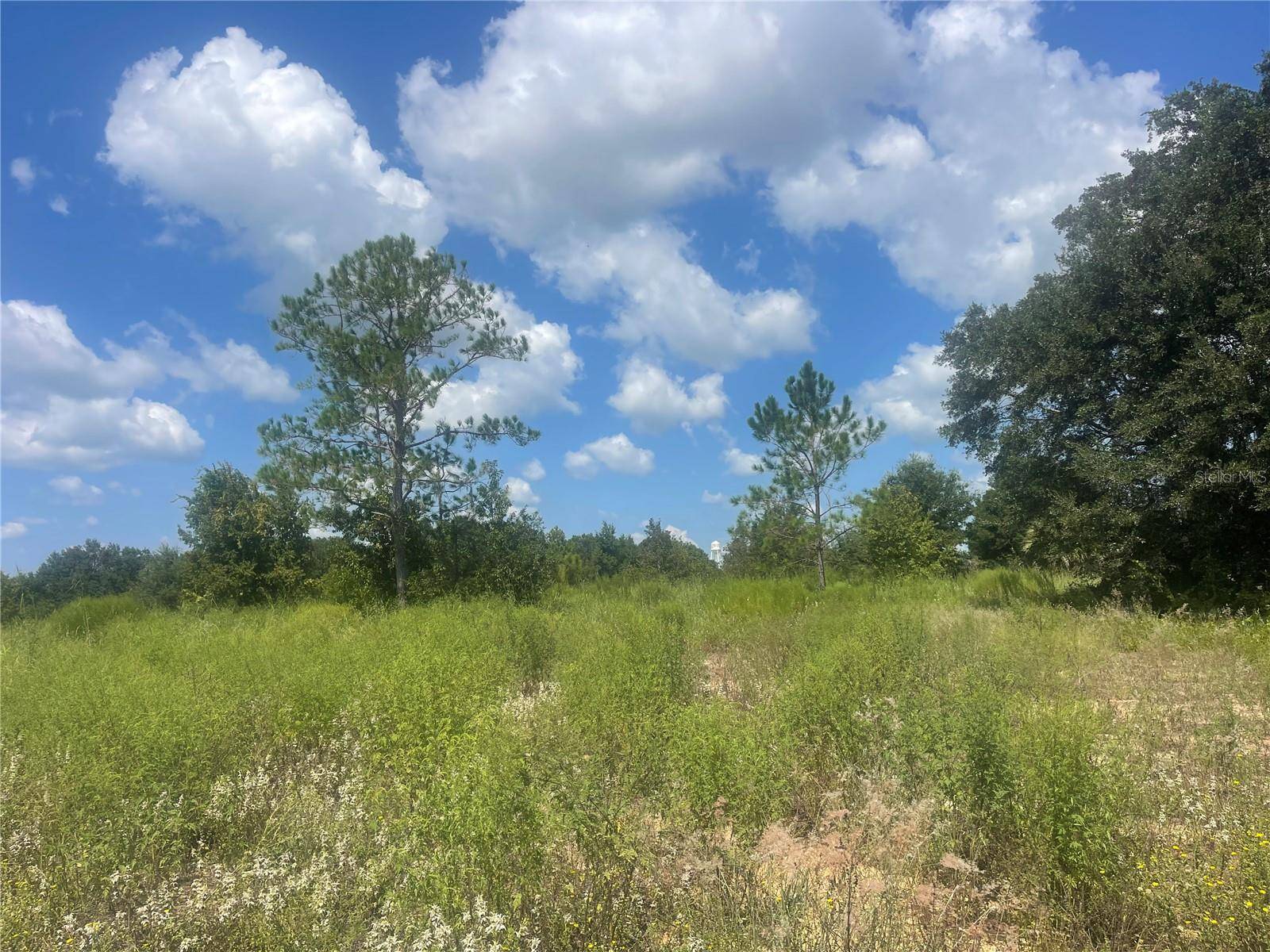 TBD KEENE RD, Umatilla, FL 32784