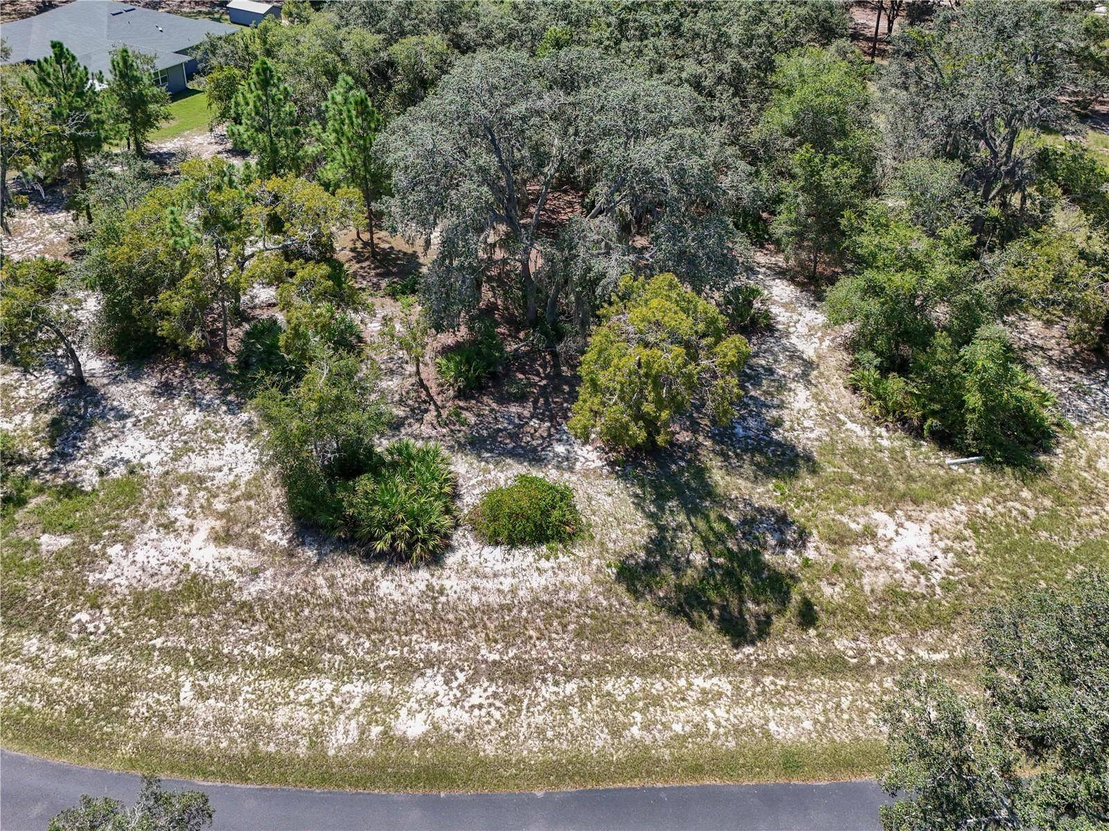 3134 BRIGHT LAKE CIR, Leesburg, FL 34748