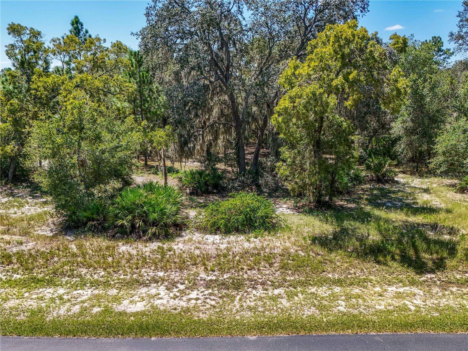 3134 BRIGHT LAKE CIR, Leesburg, FL 34748