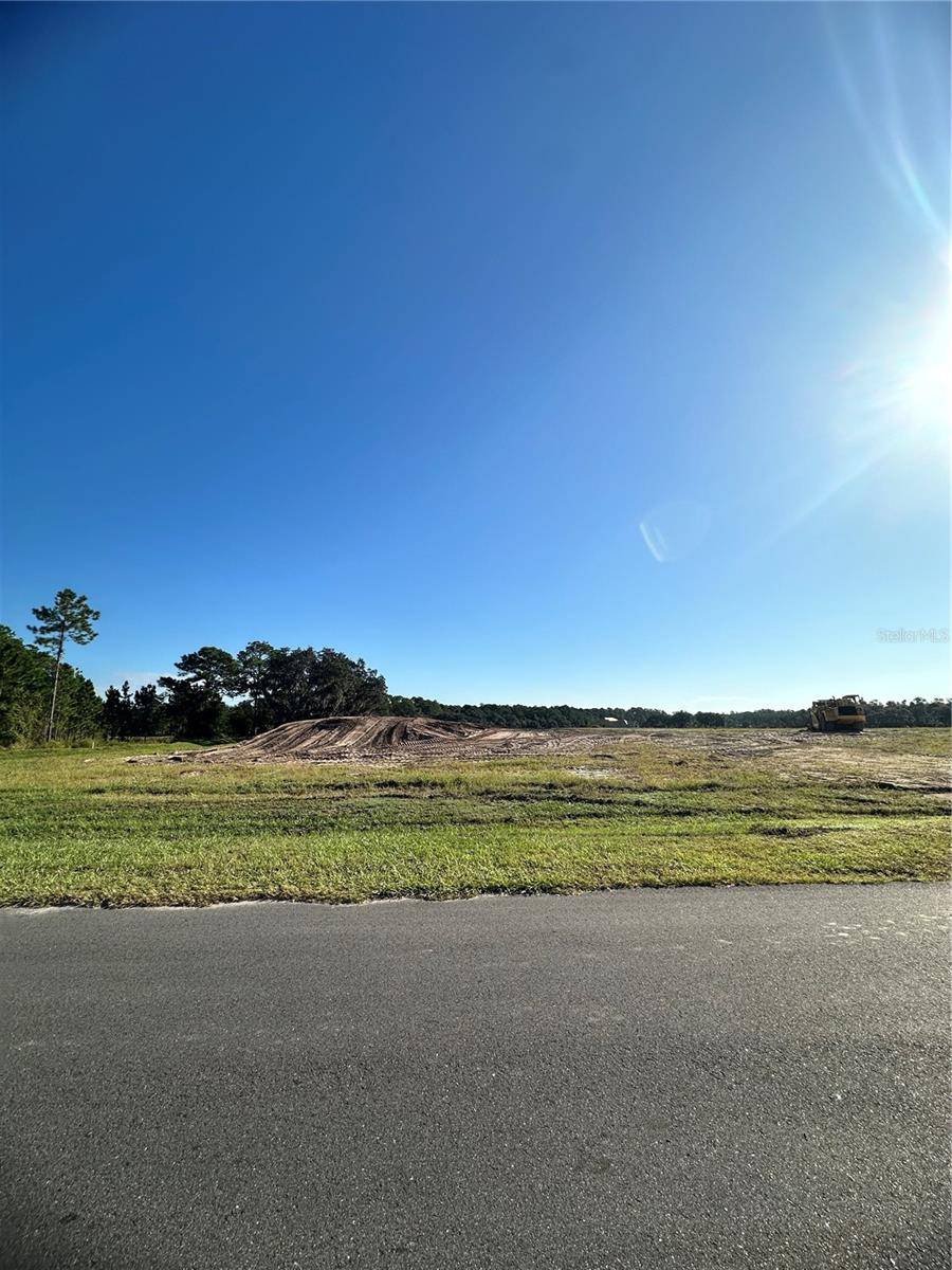38404 WOODED MEADOW DR, Umatilla, FL 32784