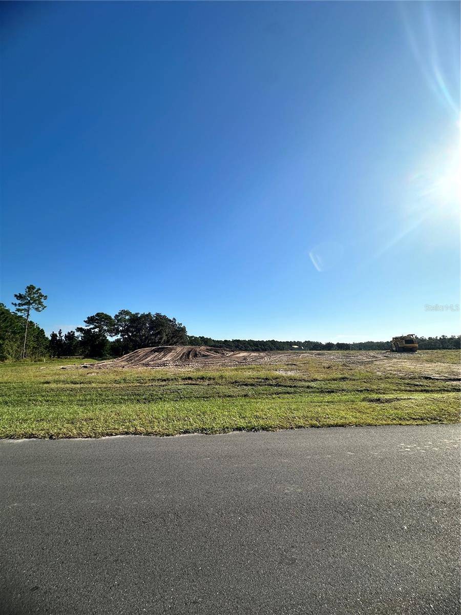 38404 WOODED MEADOW DR, Umatilla, FL 32784