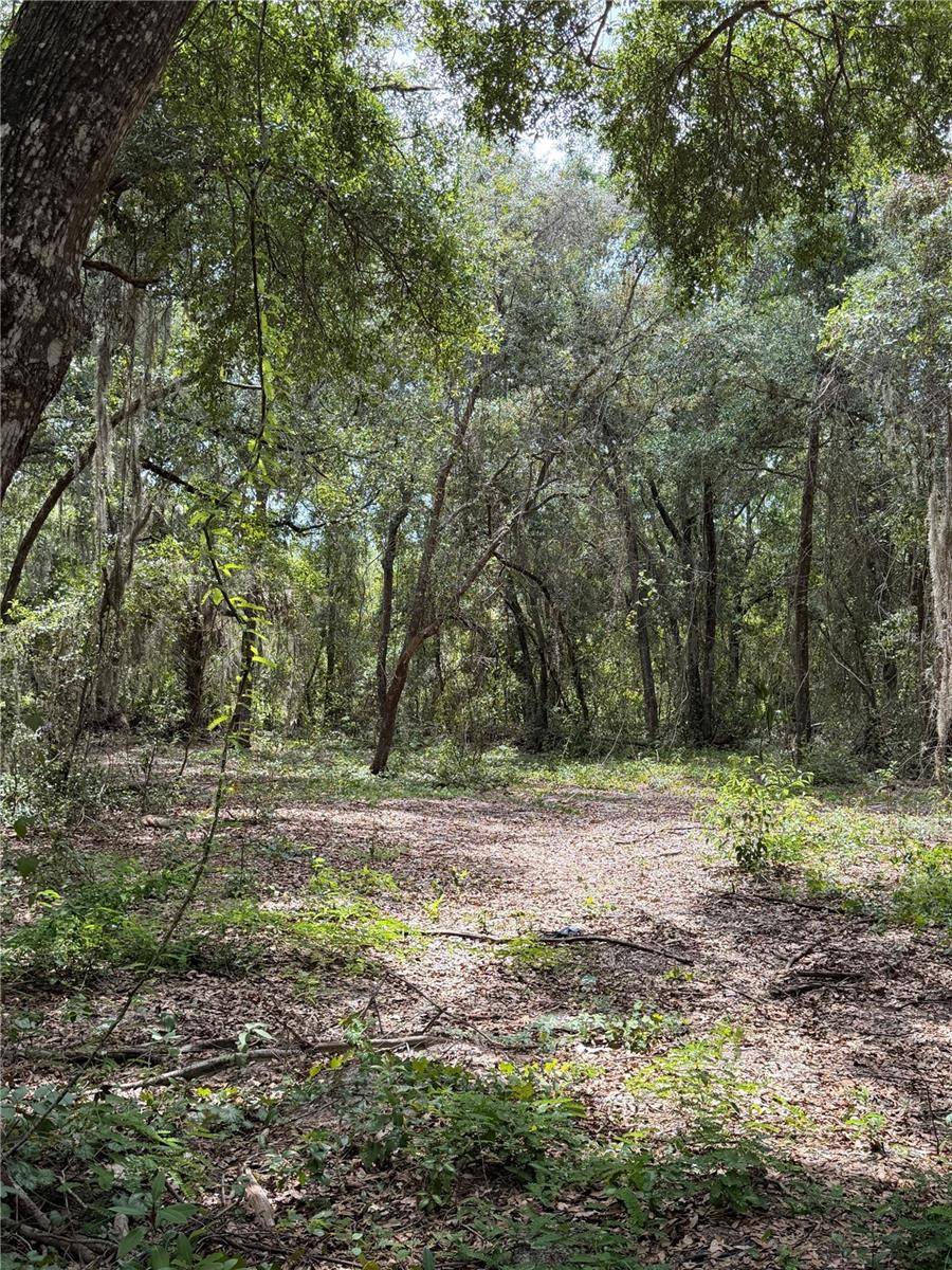 Address not disclosed, Lady Lake, FL 32159