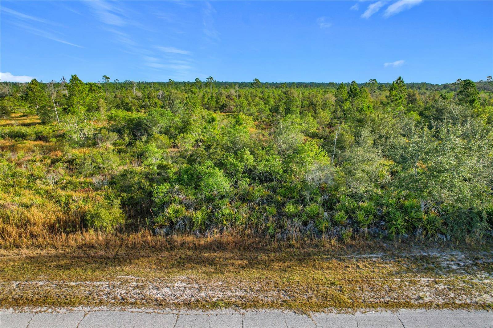 LOT 81 MEADOW LARK BLVD, Lake Wales, FL 33898
