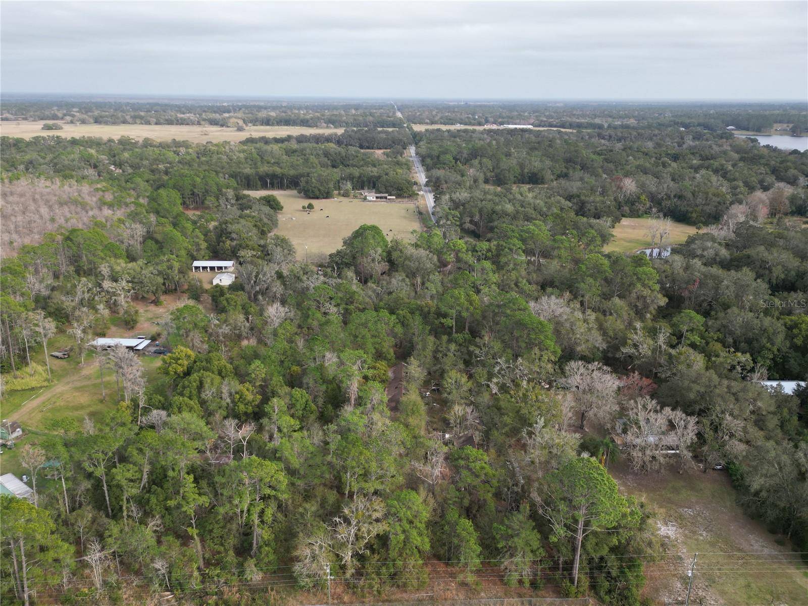 36242 COUNTY ROAD 439, Eustis, FL 32736