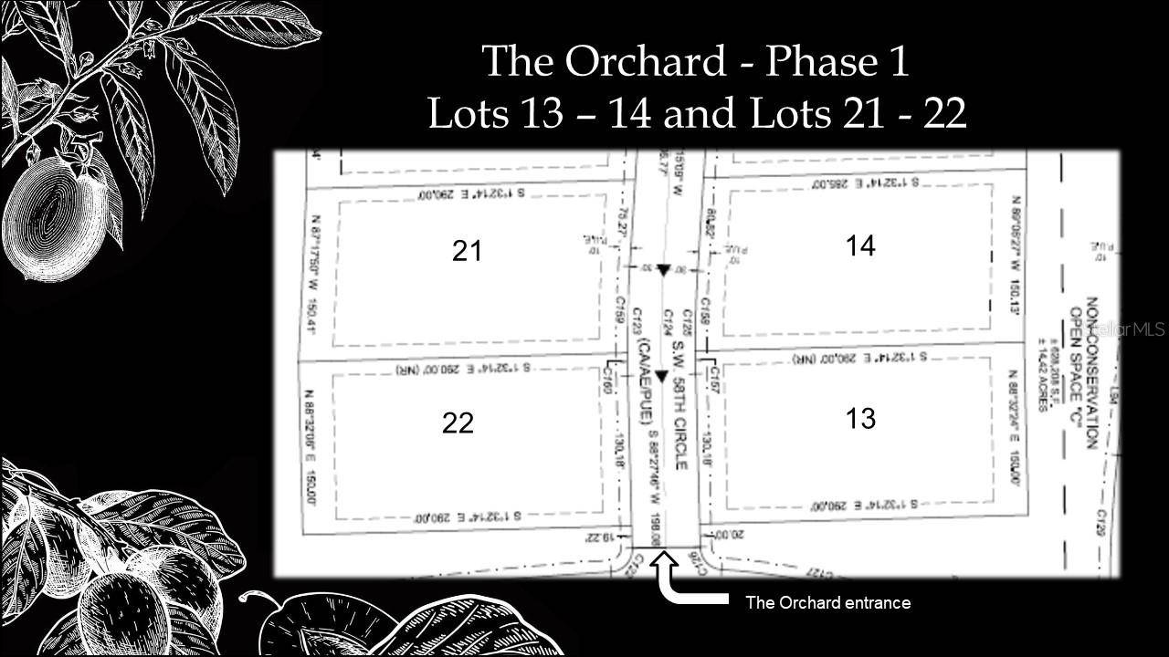 12504 SW 58th CIR, Archer, FL 32618