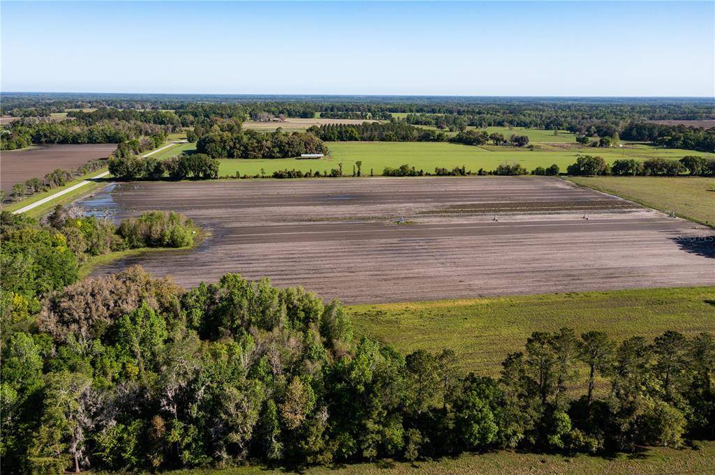 24103 NW COUNTY ROAD 239, Alachua, FL 32615