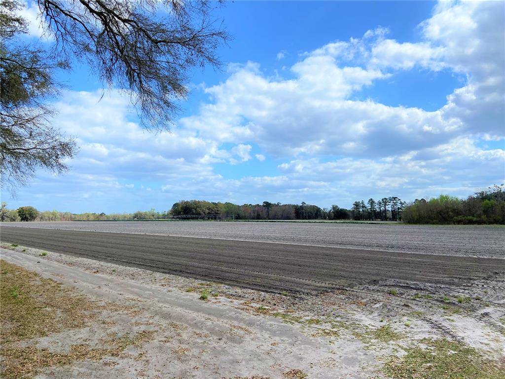 24103 NW COUNTY ROAD 239, Alachua, FL 32615