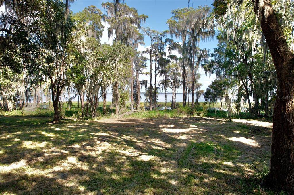 9817 NE COUNTY ROAD 1469, Earleton, FL 32631