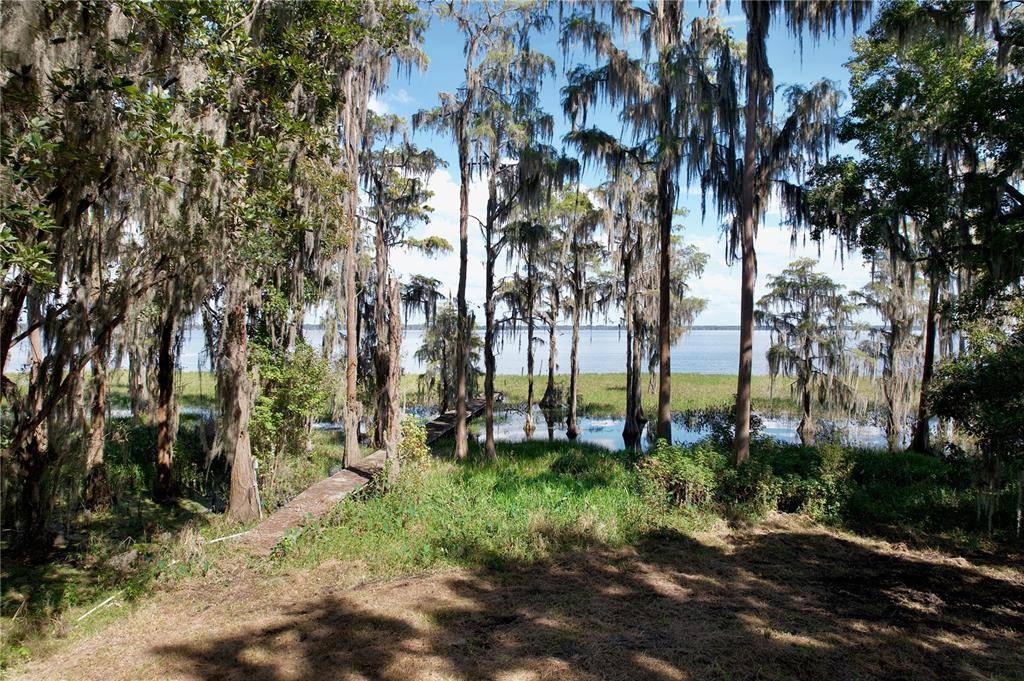 9817 NE COUNTY ROAD 1469, Earleton, FL 32631