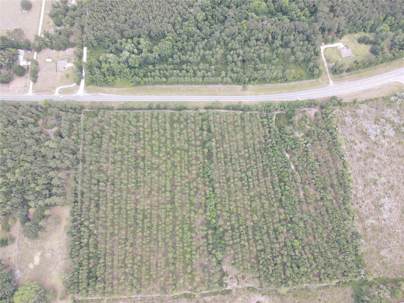 TBD N STATE ROAD 121, Alachua, FL 32615