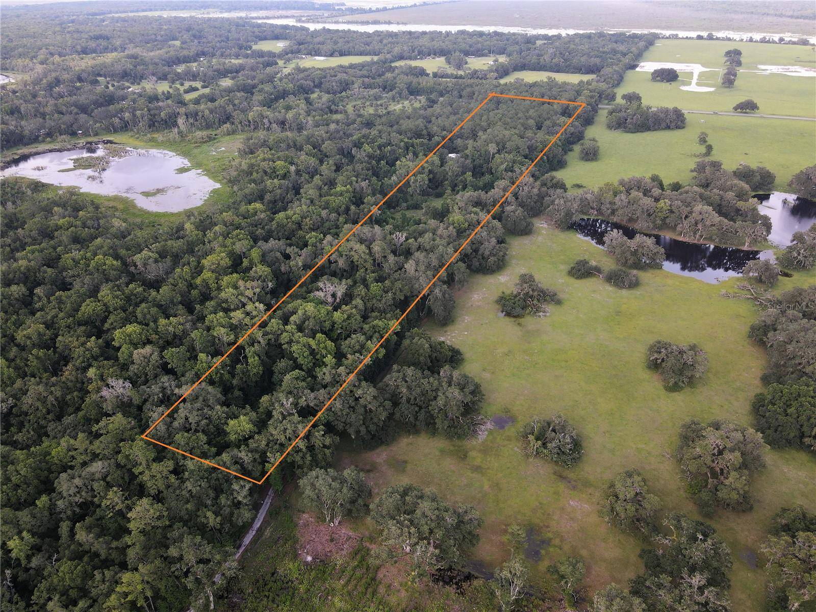 15208 SW WILLISTON RD, Micanopy, FL 32667