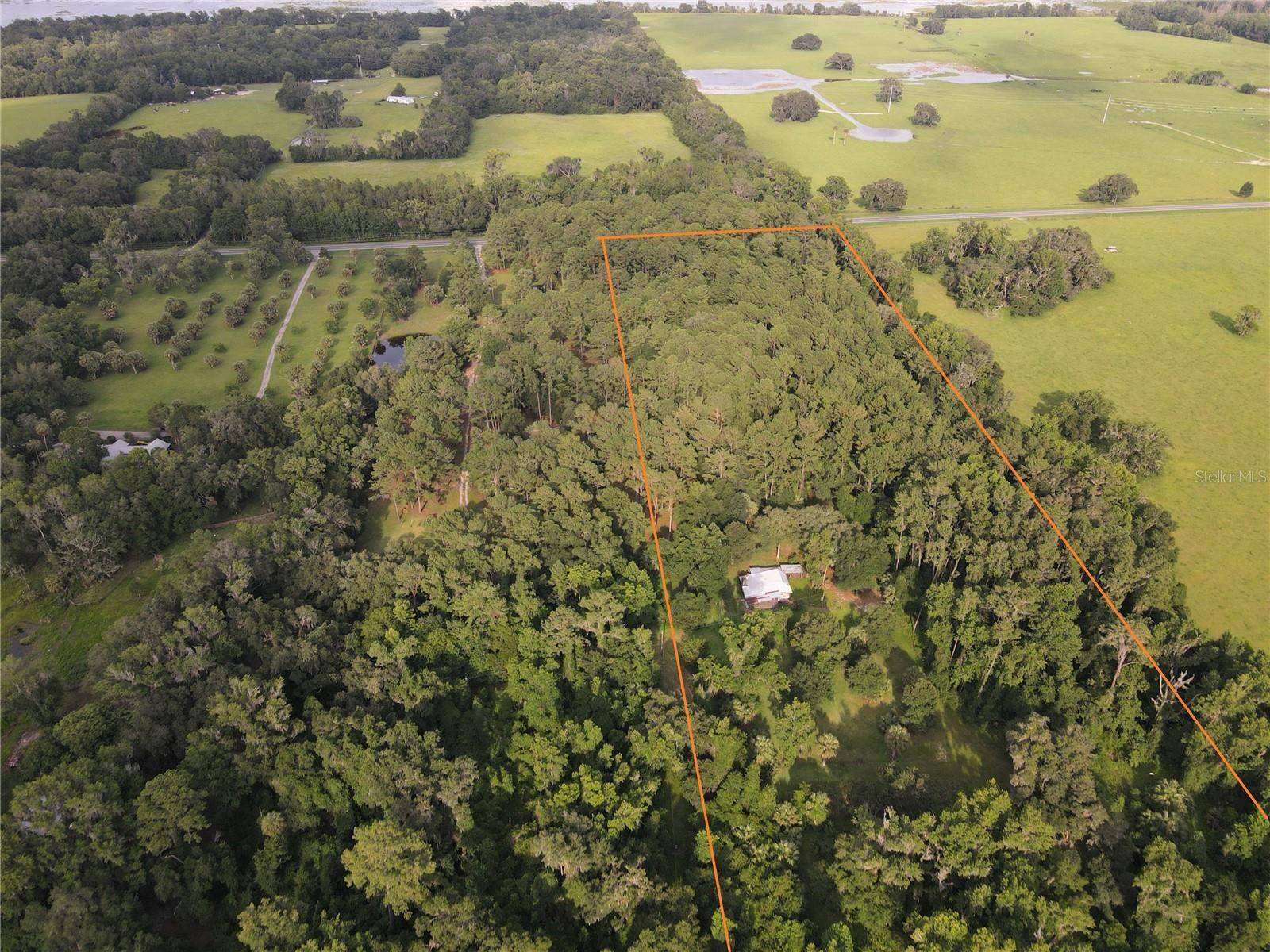 15208 SW WILLISTON RD, Micanopy, FL 32667
