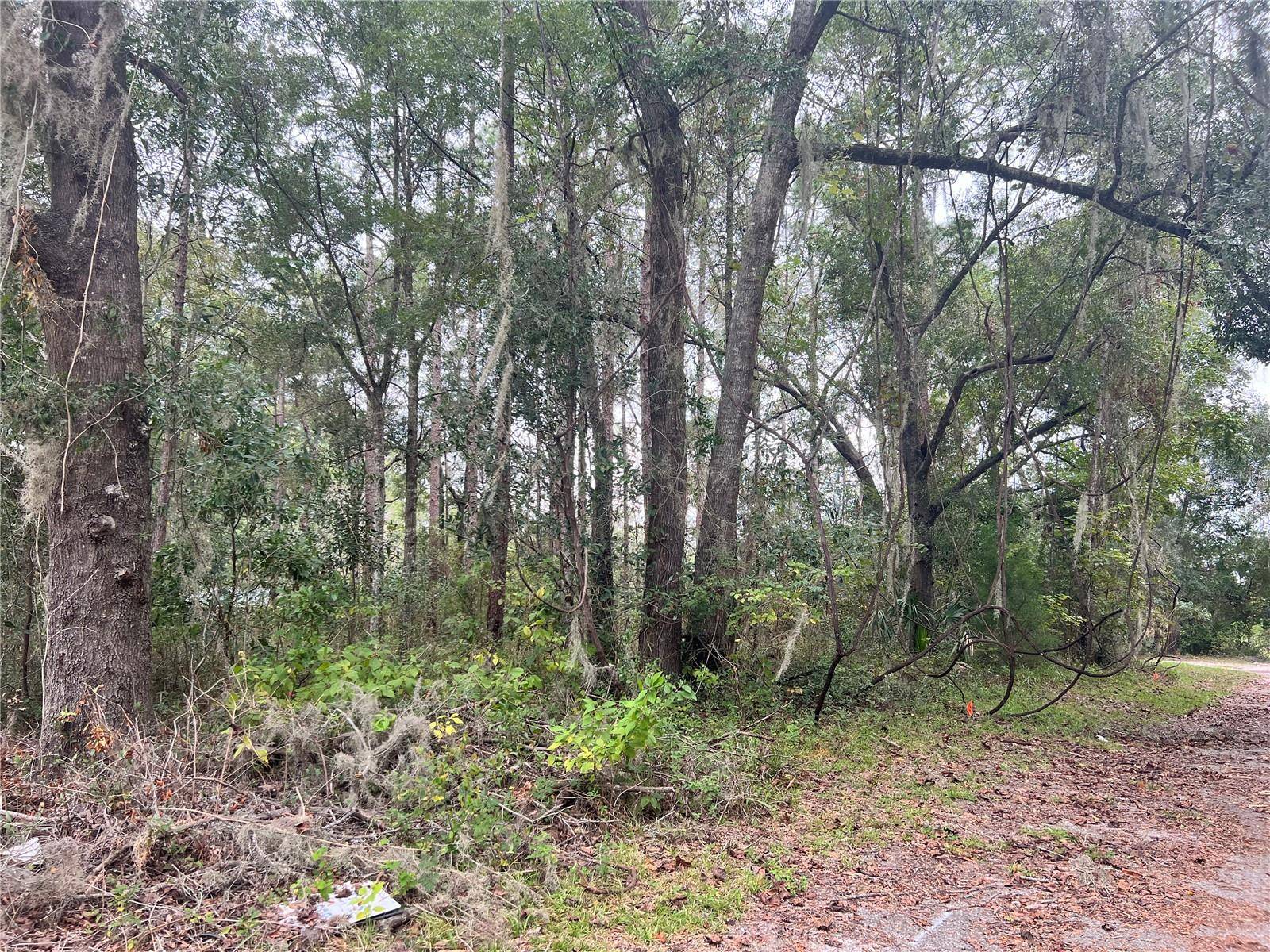 00 NW 187TH RD, High Springs, FL 32643