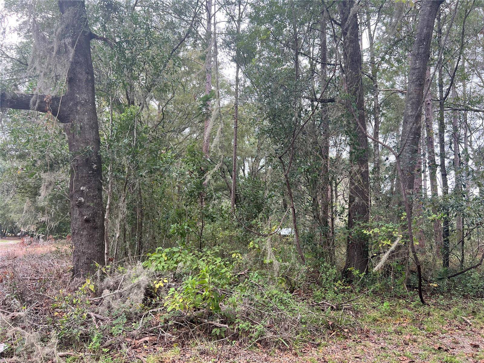 00 NW 187TH RD, High Springs, FL 32643