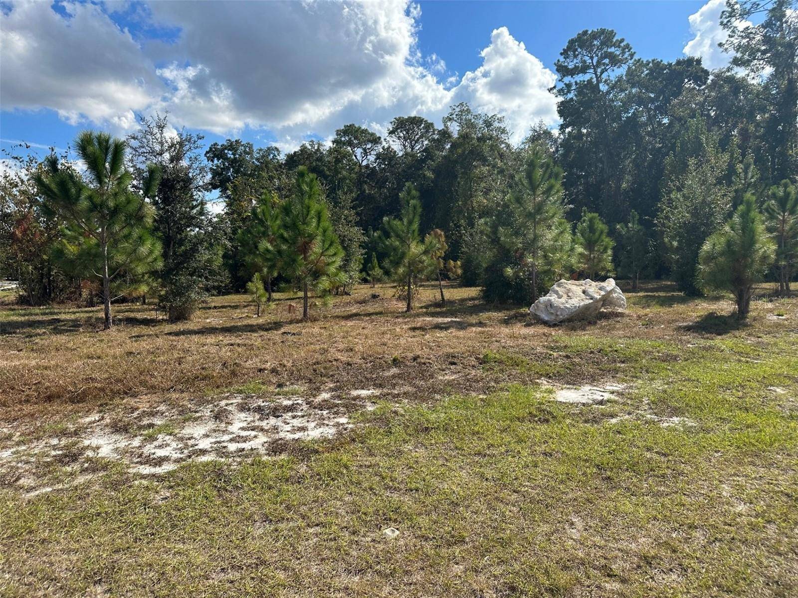 TBD SW 24TH AVE, Gainesville, FL 32607