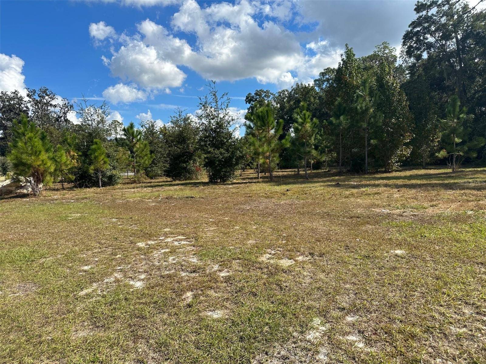 TBD SW 24TH AVE, Gainesville, FL 32607