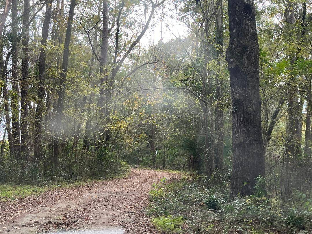 1602A SW WILLISTON RD, Gainesville, FL 32608