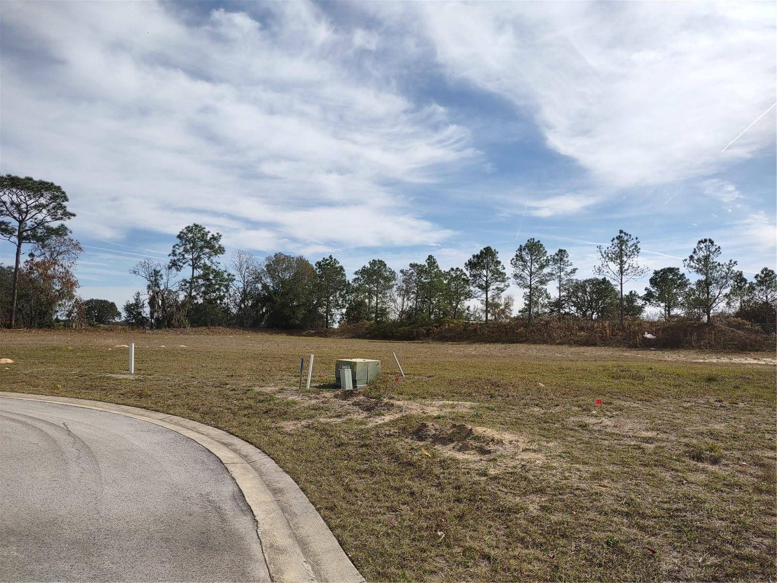 6400 SW 180 CIR #Lot 29, Dunnellon, FL 34432